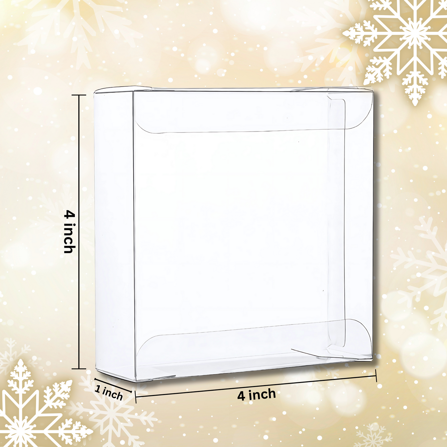 Caja de Plástico Transparente / Clear Plastic Box